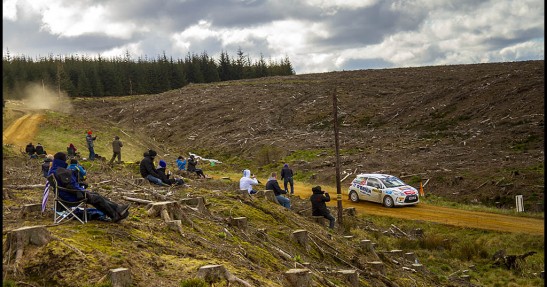 Pirelli Rally